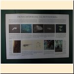 mostra_palazzo_musei_varallo024.JPG