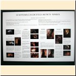 mostra_palazzo_musei_varallo028.jpg