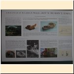 mostra_palazzo_musei_varallo029.JPG