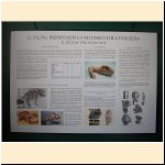 mostra_palazzo_musei_varallo035.JPG