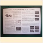 mostra_palazzo_musei_varallo037.JPG