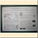 mostra_palazzo_musei_varallo039.JPG