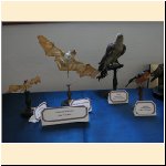 mostra_palazzo_musei_varallo041.JPG