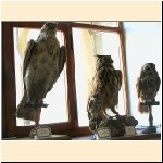 mostra_palazzo_musei_varallo043.JPG