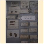 mostra_palazzo_musei_varallo046.JPG