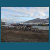 svalbard_18_007.jpg