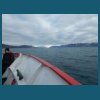 svalbard_18_030.jpg