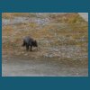 svalbard_18_065.jpg