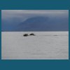 svalbard_18_142.jpg