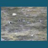 svalbard_18_170.jpg