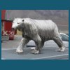 svalbard_18_177.jpg