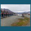 svalbard_18_183.jpg