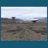 svalbard_18_193.jpg